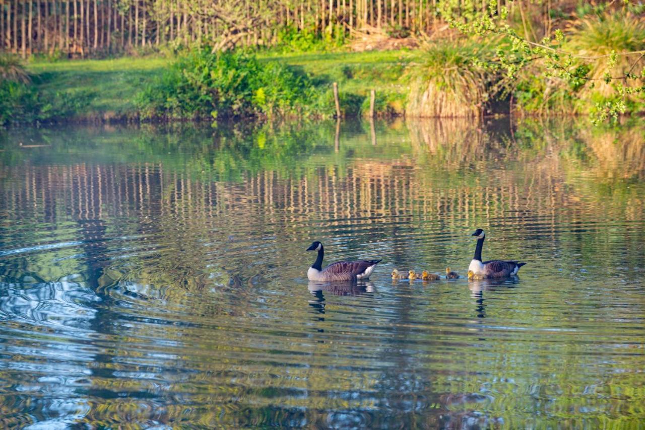 Rosefinch Sleeps 2 Persons-Private Hot Tub-Tranquil Holiday Away From It All Yet Not Far From St Austell- The Holiday Home Has One Bedroom, Living And Dining Area, Equipped Kitchen-Decking-Outdoor Furniture-Fishing Lakes-Non Pet Unit Exteriör bild